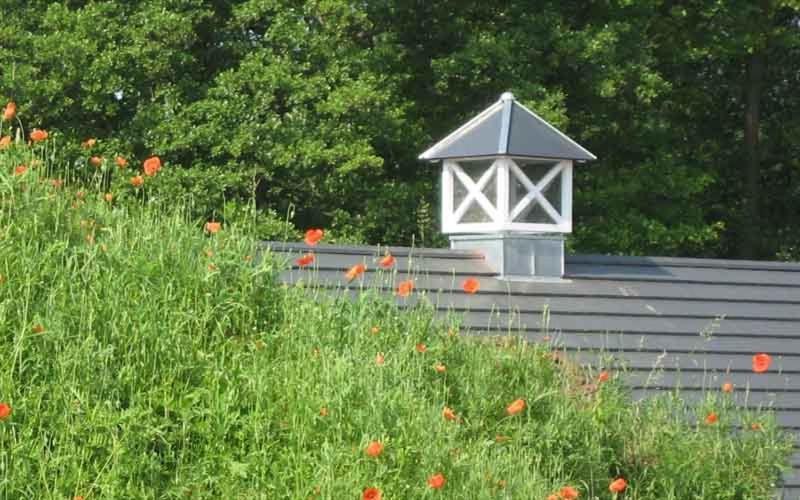 Louisenhof Ferienapartments Und Wellness Burg  Bagian luar foto